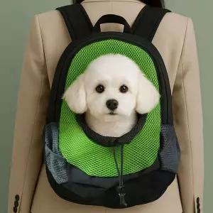 반려동물 강아지 고양이 소형백팩 외출백팩 이동가방