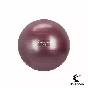 안티버스트 짐볼 75cm 루비와인