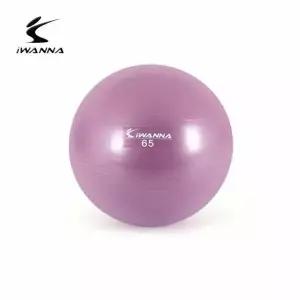 안티버스트 짐볼 65cm 라일락