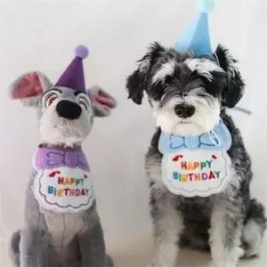 강아지 고깔 모자 강아지 생일 케이프 반려동물 스카프 애견 파티