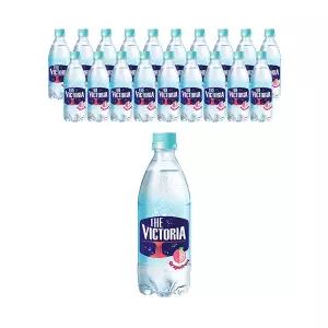 더 빅토리아 탄산수 자몽 500ml, 20개