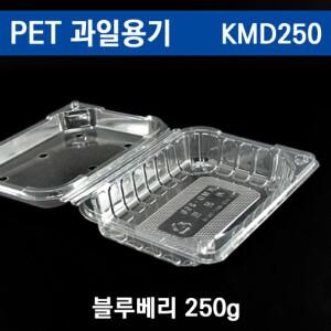 과일포장용기 블루베리용기,KMD250 / 500개