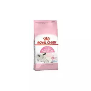 로얄캐닌 마더앤베이비 캣 2kg