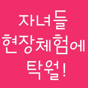 [싸파] 4구어항 어포기/피래미,잡어가 가득찹니다/가족놀이,피서,자연체험(사구어항 어포기)