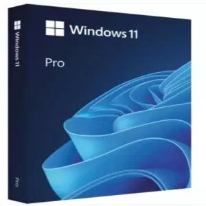 MS WINDOWS 11 PRO FPP/USB PKC (처음 사용자용) 멀티랭귀지(한글/영문외 지원)