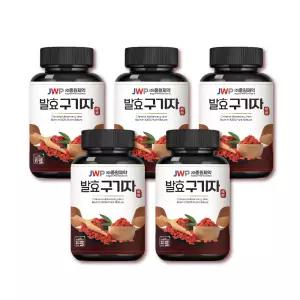 중원제약 발효 구기자환 100g 5병 1세트