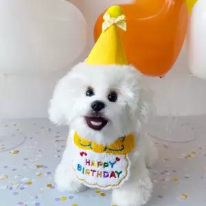 강아지 생일 파티 턱받이 꼬깔 모자 세트 용품 고양이 스카프 넥 케이프 돌잔치 악세사리 애견 소품