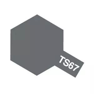 (TAMIYA) 스프레이(캔)TS-67 IJN 그레이(사세보 병기고) - 일본해군(무광)/공예/다용도/diy/셀프/분사식