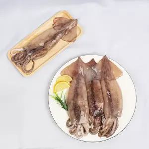 [더조은] 원양산 냉동 손질 통오징어 (팩당 350g 내외) 2미 x 5팩