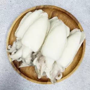 손질 냉동 갑오징어 홀크린 5kg 태국산 껍질 내장제거 벌크 업소용 숙회 짬뽕 무침 2123452 J
