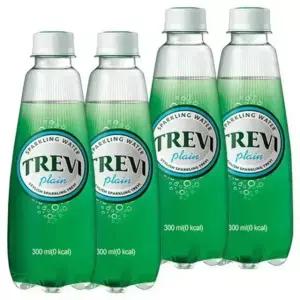 롯데 트레비 플레인/라임/레몬/자몽 중 선택 300ml x 40PET (20펫x2박스)