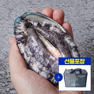 [선물세트포장] 완도 활전복 1kg(6~7미) + 전복칼증정
