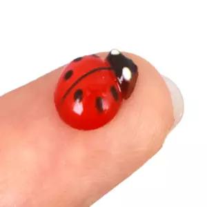 몰앤딜 무당벌레모형10P 무당벌레인형
