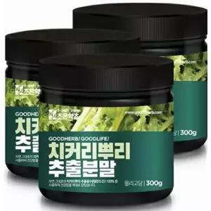 치커리 뿌리 분말 가루 추출물 파우더 3개 MJ