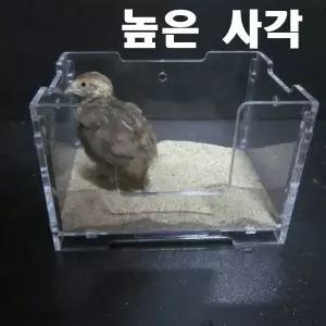 사각 화장실/모래목욕통(높은사각) -미니메추리모래통
