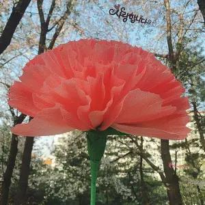 스승의날이벤트 자이언트 DIY 선물 로인스 카네이션 어버이날 만들기tuv371