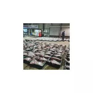 리브하우스 HB 국산 홍어 250g 중간맛 902781