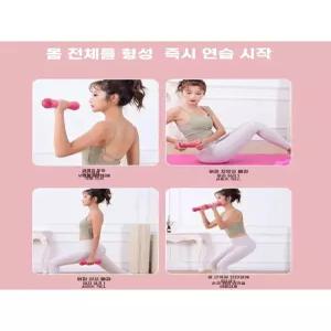 덤벨 디자인 750g 유선스타일 2개 1kg 뼈 5kg 각0 피치핑크 500g