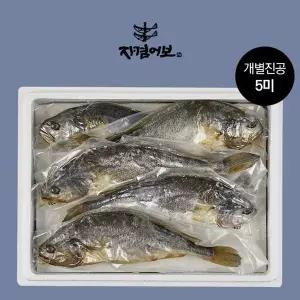 [NS홈쇼핑]법성포 부세보리굴비 진공팩 5미/31-33cm(왕특대)[35915972]
