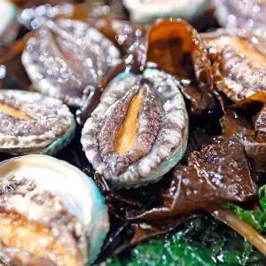 당일작업 완도산 프리미엄 활전복 (청정지역/2차선별) 1kg 9-10미