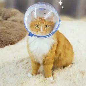 강아지 넥카라 머리 해충방지 반려견 고양이 페이스커버
