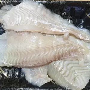 200g 광어필렛 광어회