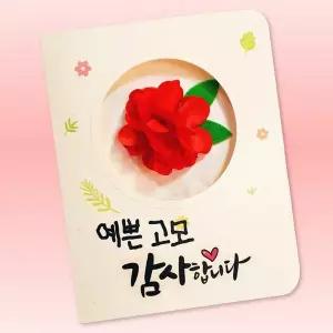 피오피스토리 러블리 카네이션 카드 만들기-1인용