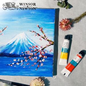 Winsor & Newton 미세 튜브 아크릴 페인트, 드로잉 오거나이저 세트 박스, 파우더 안료, 전문 아티스트 36