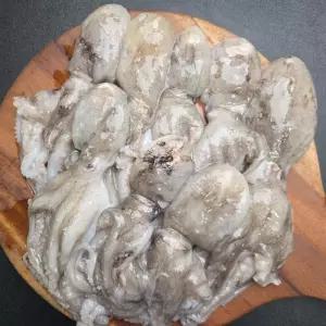 국내산 냉동 활쭈꾸미 봄주꾸미 1kg