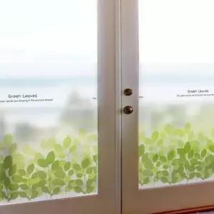 칼라안개시트_초록숲 이야기_A01_W90xH90cm 안개시트지