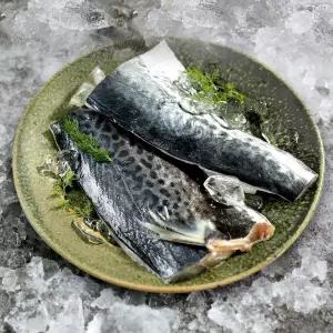 [제주직송] 제주 삼치살 특대 1.6kg(4팩/팩당400g이상)