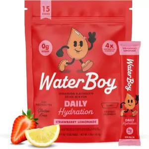 워터보이 데일리 하이드레이션 1 570mg 전해질 파우더 패킷 설탕 없음 천연 텐 프리 제로 칼로리 15가지