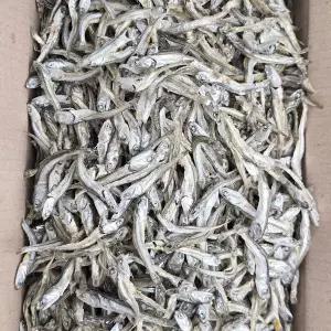 [NS홈쇼핑]바다찬미 품질좋은 국내산 햇 고바멸치(최상급) 1.5kg[35932056]
