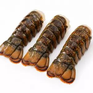 청정해역 캐나다 A급 랍스터 테일 꼬리