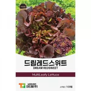 더드림 유럽형 상추 씨앗 종자 / 쌈용 샐러드 햄버거 샌드위치용 드림레드스