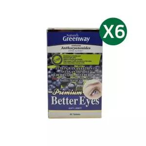 [무료배송] 네이쳐스그린웨이 베터 아이 60정X6 Natures greenway