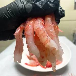 국내산 묵호항 횟감 단새우 500g 1팩 아마에비