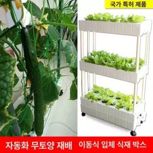 식물재배기 가정용 야채 상추 채소 블랙 실내 키우기