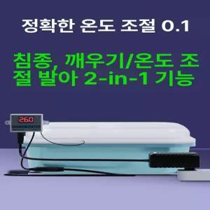 새싹 볍씨 쌀 종자 단일 묘종 발아기