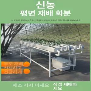 비닐하우스 대형 수경재배기 스마트팜 상추 식물재배기