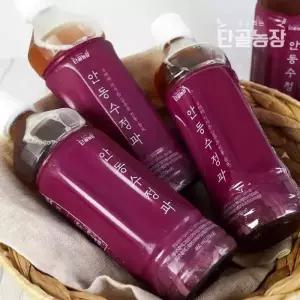 프레시데이 단골농장 3대째 이어온 안동 전통 수정과 10병x460ml