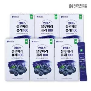 [네이처드림] 안데스 블루베리 퓨레 100 (20gx14포) 6박스
