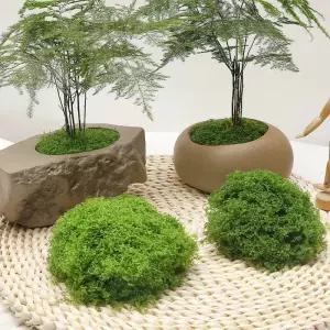 인공 녹색 식물 이끼 잔디 홈 거실 정원 장식 미니 풍경 꽃 DIY 공예