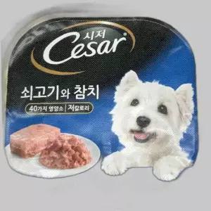 반려견 시저 Cesar 쇠고기와 사료 100g 애견 참치 강