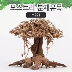 어항 분재유목(M) 수조 물고기 은신처 나무 장식용품