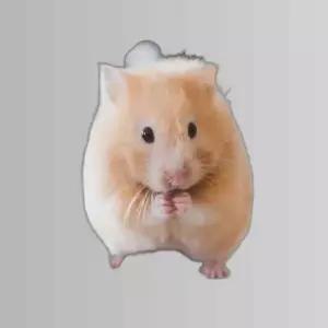 햄스터 쿨매트 알미늄 여름 쿨패드 S
