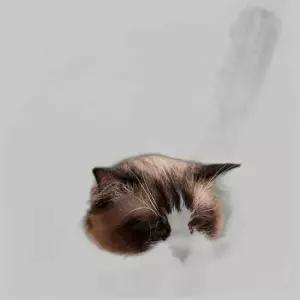 고양이 코너 부착 셀프그루머 긁기그루밍 펫 그루밍