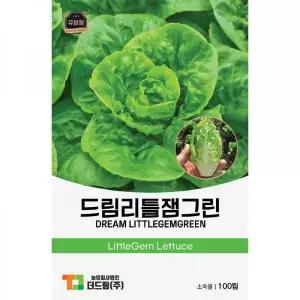 더드림 유럽형 상추 씨앗 종자 / 쌈용 샐러드 햄버거 샌드위치용 드림리틀잼