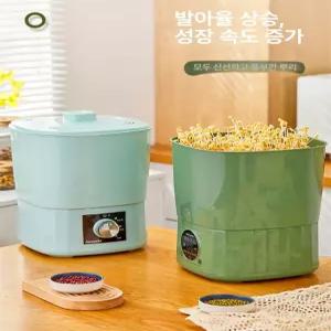 콩나물 재배기 가정용 시루 나물 콩나물키우는기계 키트