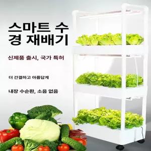 가정용 식물재배기 재배 수조 단층 키트 스마트팜 온실